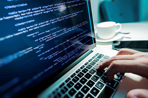 Best Software Services in Saharsa
